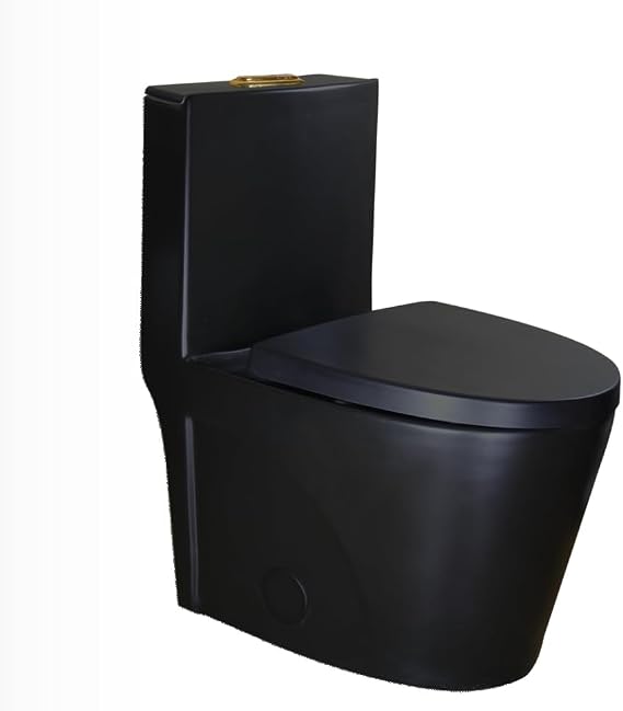 WinZo WZ5040G One Piece Toilet with Golden Dual Flush Button Elongated Soft Close Seat Included High Efficient 1.1/1.6 GPF,Matte Black